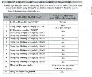 Phương thức thanh toán áp dụng cho dự án căn hộ Khang Điền Bình Tân - Khang Điền HCM